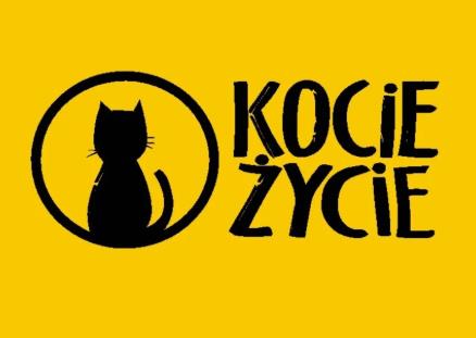 常州品牌策划应该注意哪些问题 常州品牌策划应该注意哪些问题